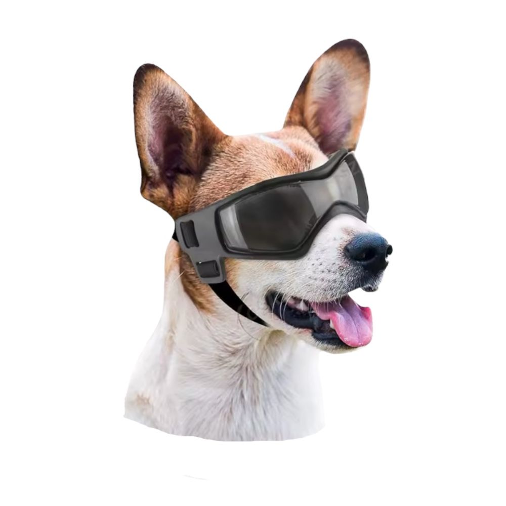 Goggles Hundglasögon | Sporty Svarta