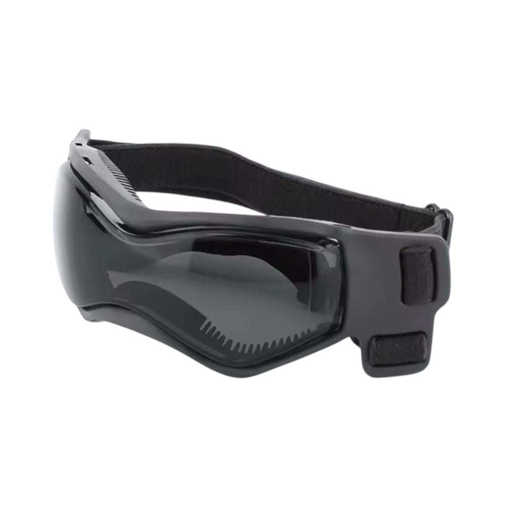 Goggles Hundglasögon | Sporty Svarta