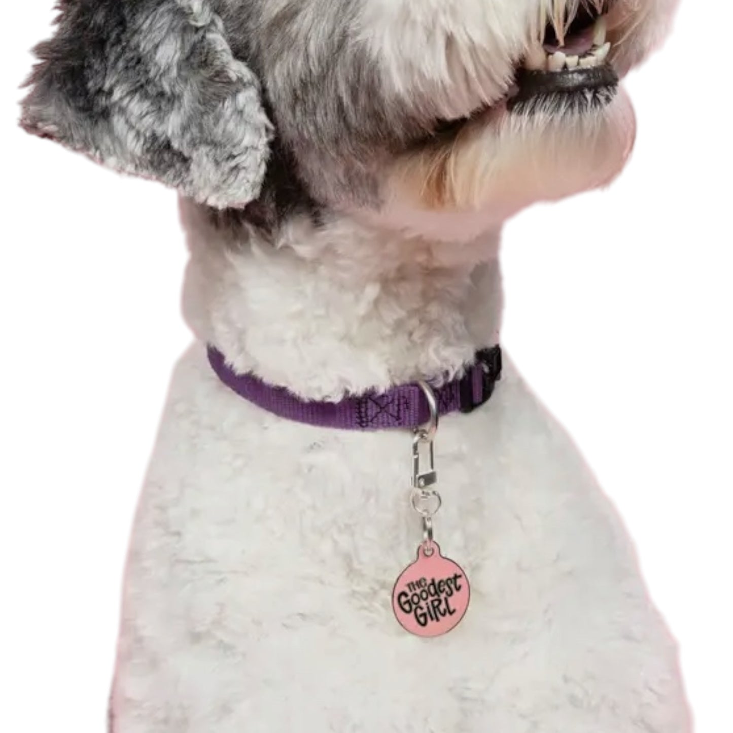 ID Tag till Hundhalsband | Goodest Girl