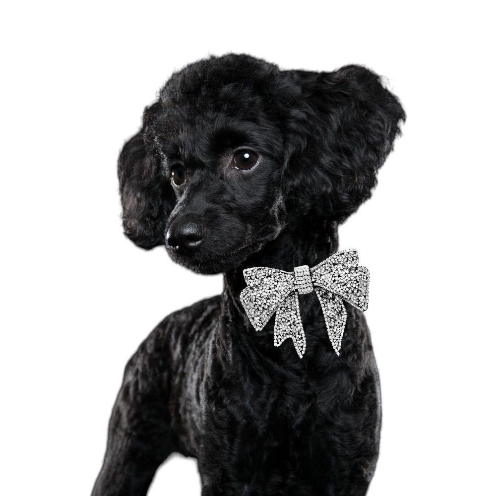 Glittrig Hundfluga | Silver Rosett