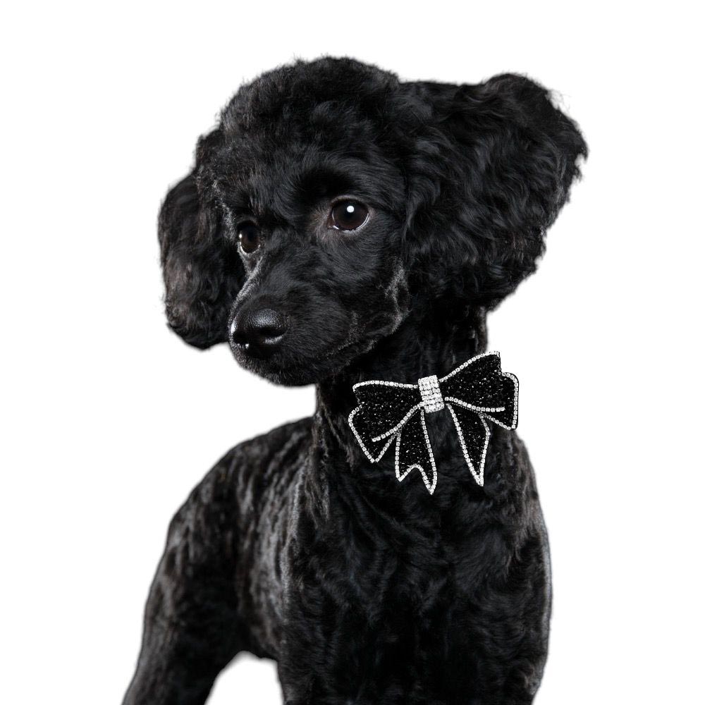 Glittrig Hundfluga | Svart Rosett