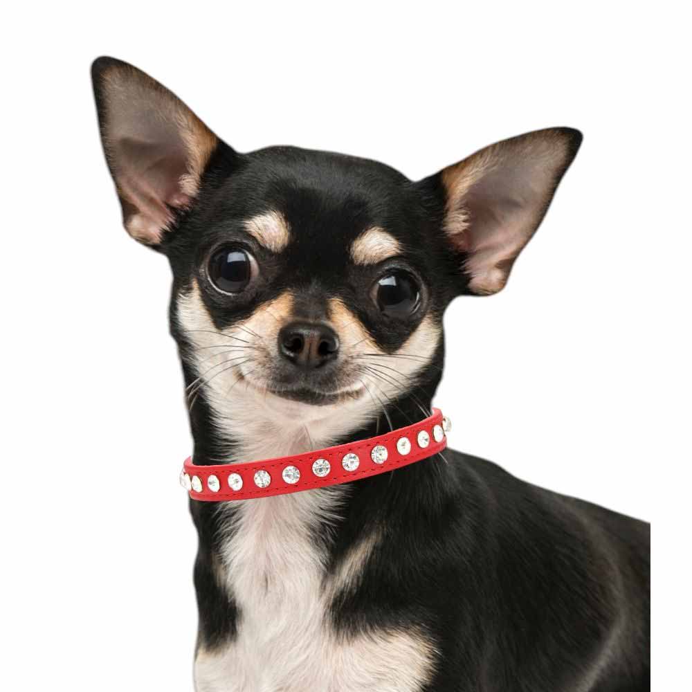 Hundhalsband med Kristaller | Röd