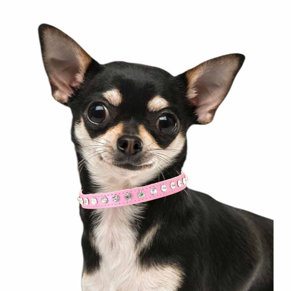Hundhalsband med Kristaller | Rosa