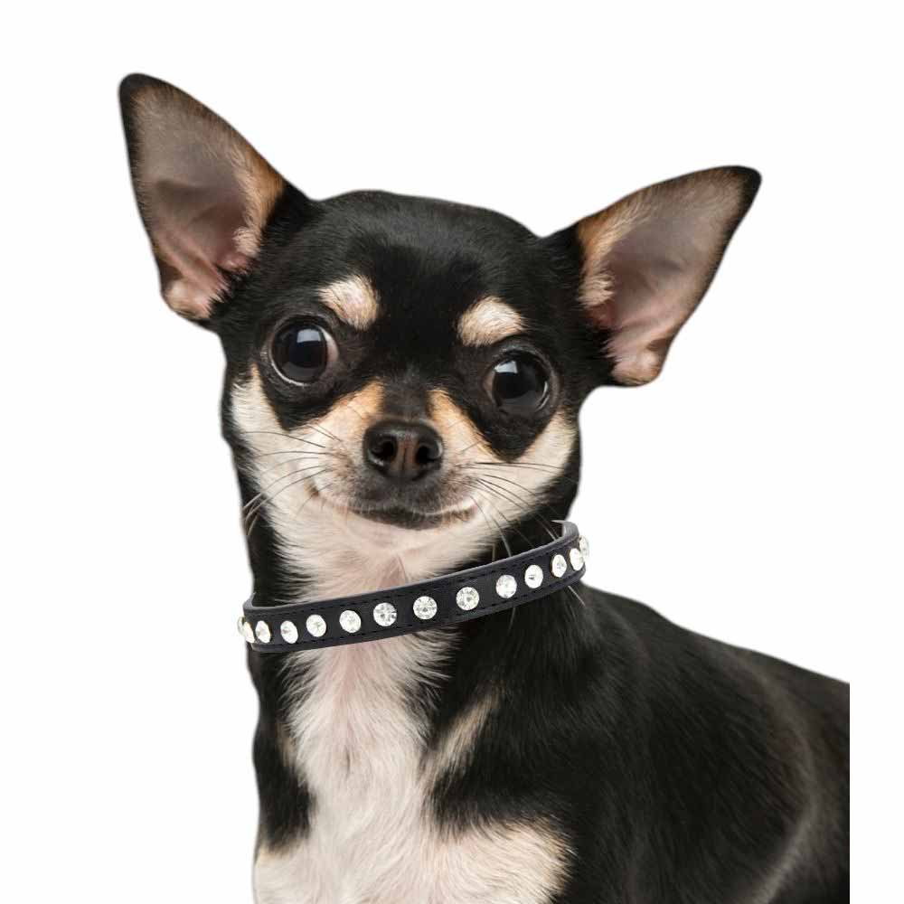 Hundhalsband med Kristaller | Svart