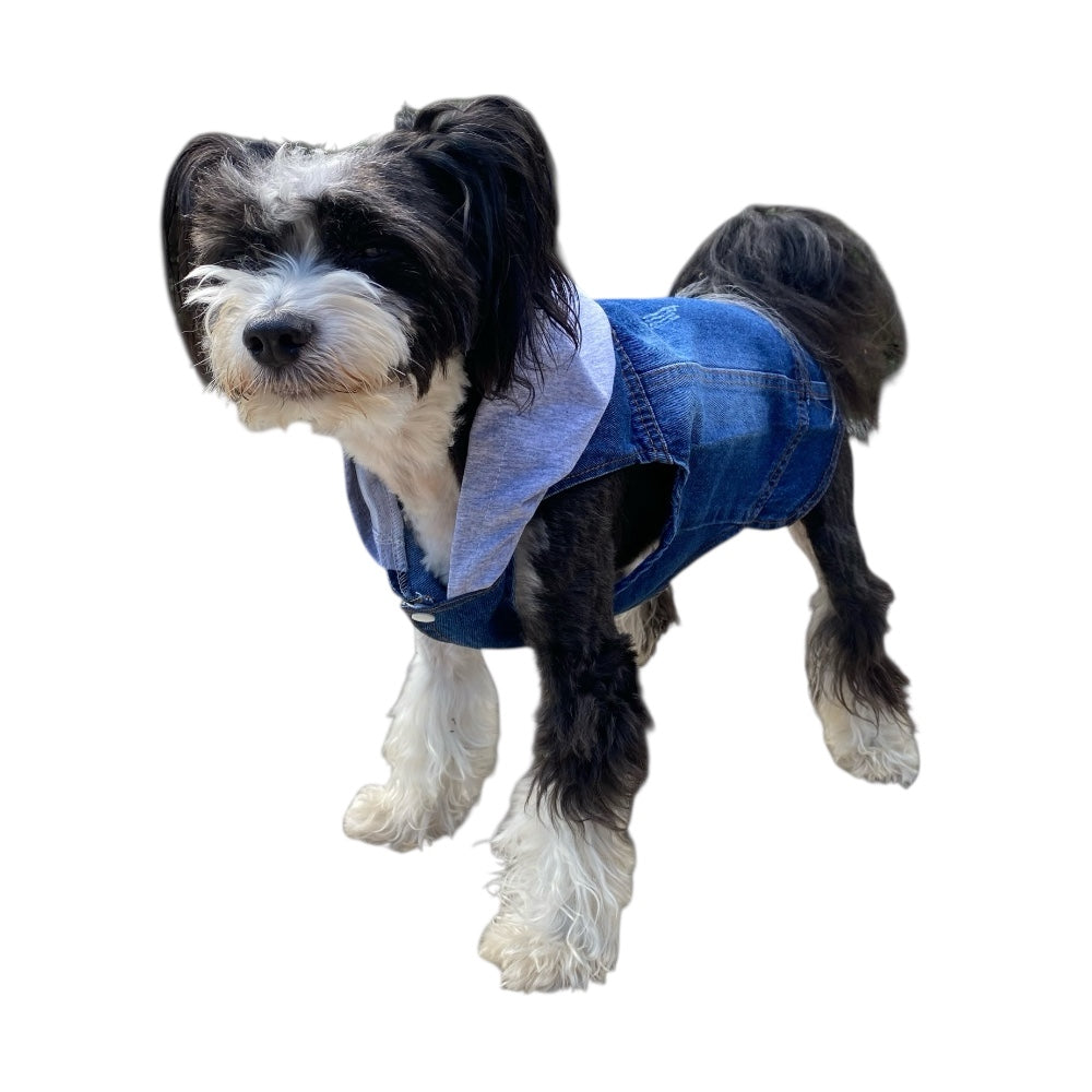 Hundjacka | Jeansväst med Hoodie