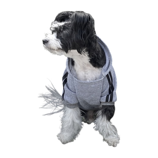 Hundtröja | Dog Baby