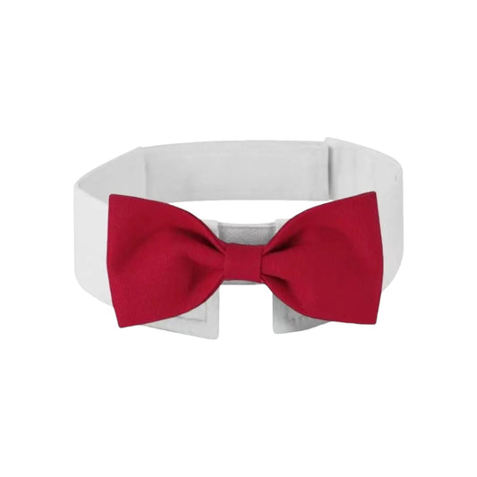 Handsome White Collar with Bow Tie | RED