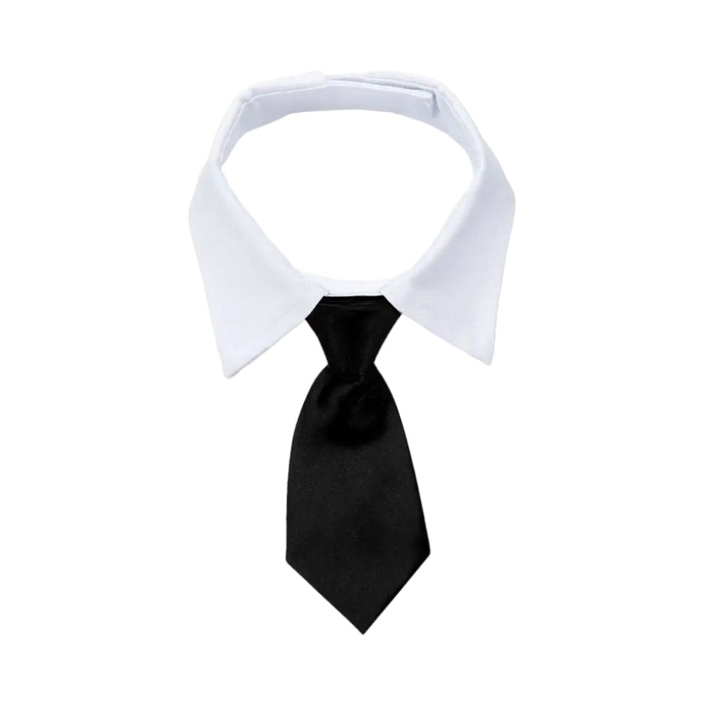 Handsome White Collar with Tie | Black