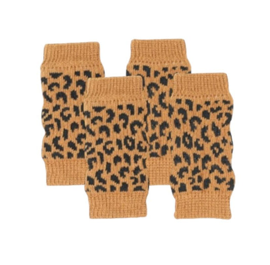 Benvärmare till Hundar, Leopard