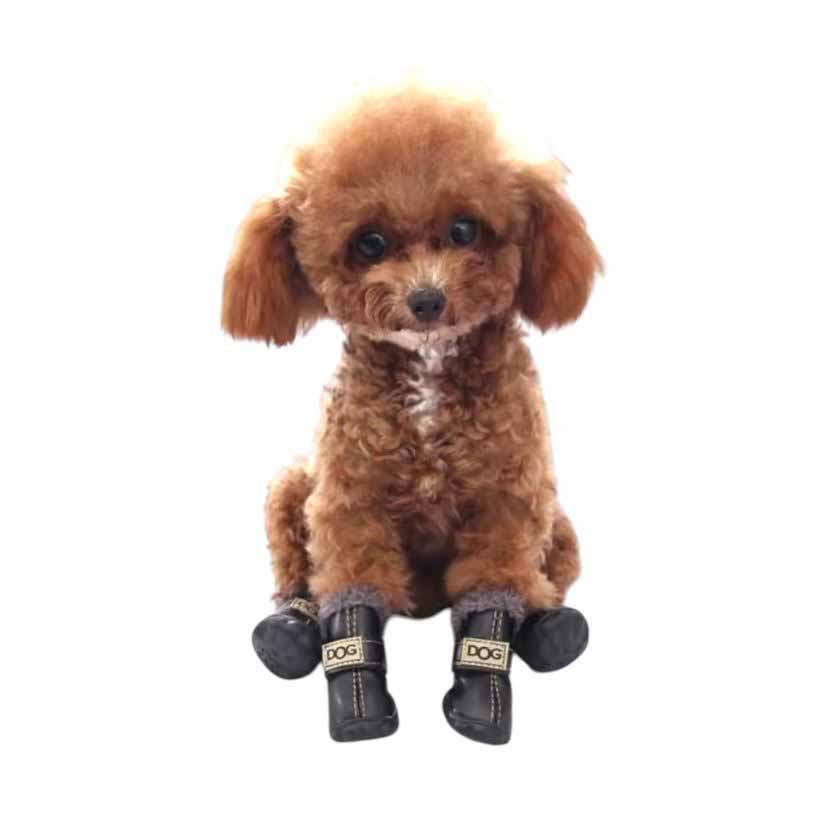 Warme wasserabweisende Hundeschuhe | Pflaume