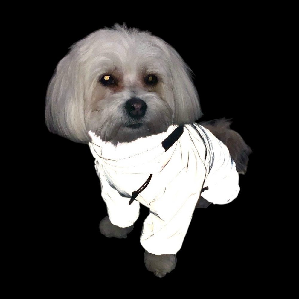 Regnsäker Reflexoverall till Hund