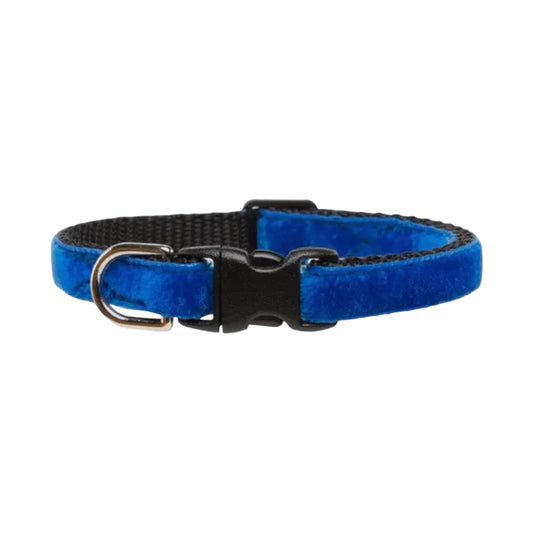 Katthalsband | Sammet, Blå