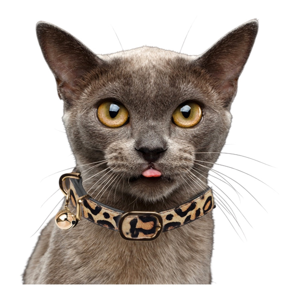 Katthalsband i Läder | Leopard