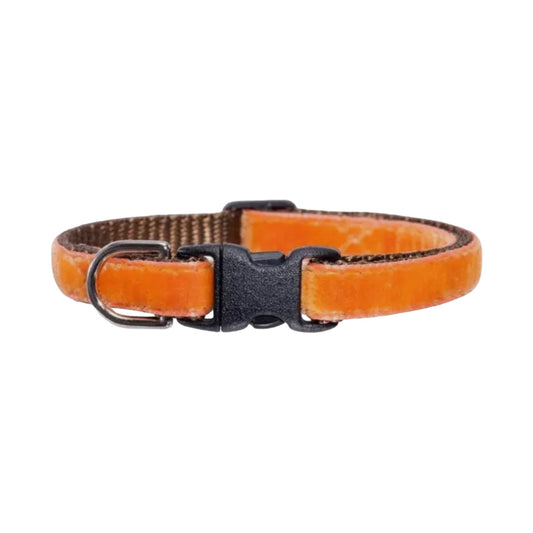 Katthalsband | Sammet, Orange