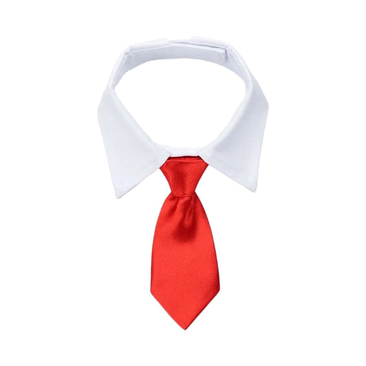 Handsome White Collar with Bow Tie | Black